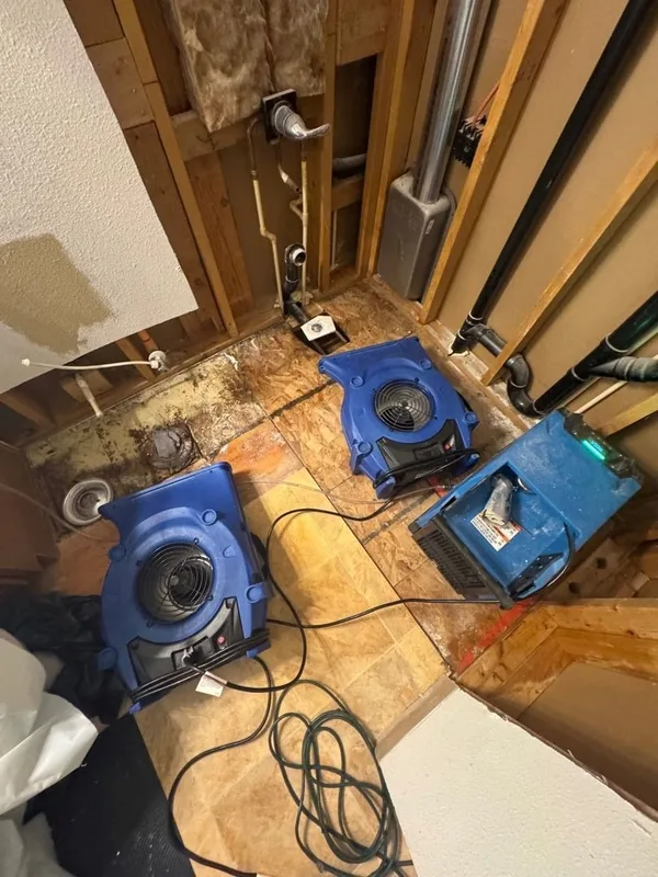 Ceiling leak air movers subfloor